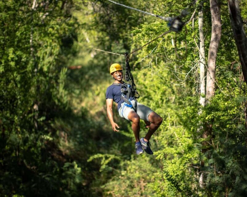 Oahu: Coral Crater Zipline Tour - The Bottom Line