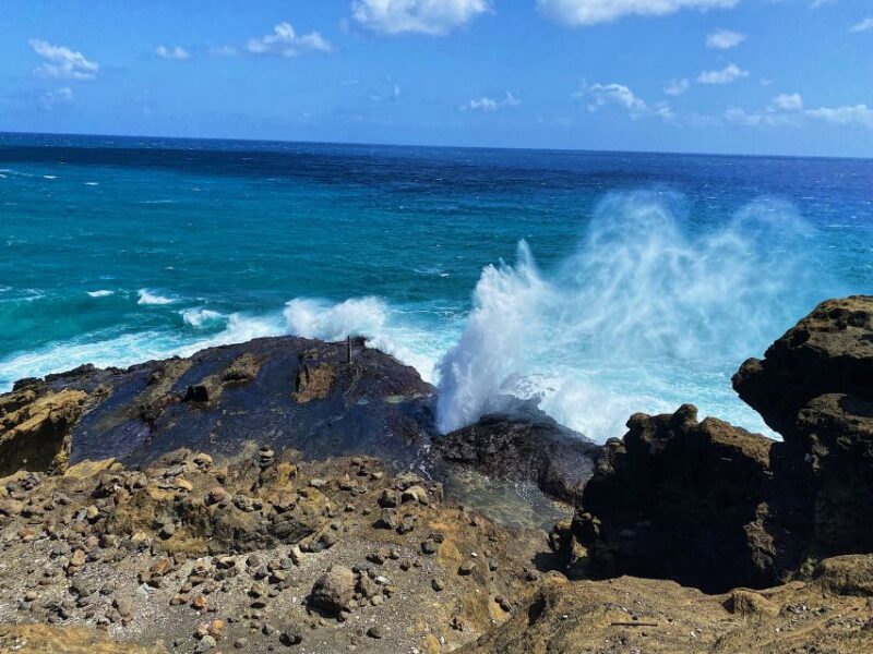 Oahu: Diamond Head Crater Hike and North Shore Experience - An In-Depth Look at the Tour