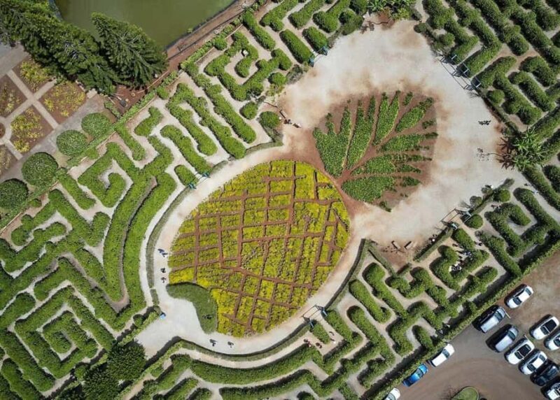 Oahu: Dole Plantation & Haleiwa Express Deluxe Tour - Key Points