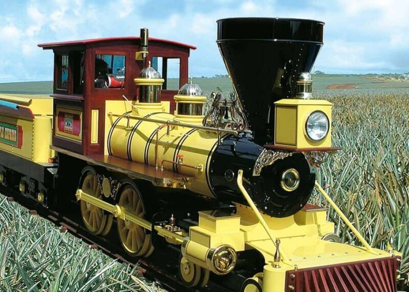 Oahu: Dole Plantation & Haleiwa Express Deluxe Tour - An Honest Look at the Tour