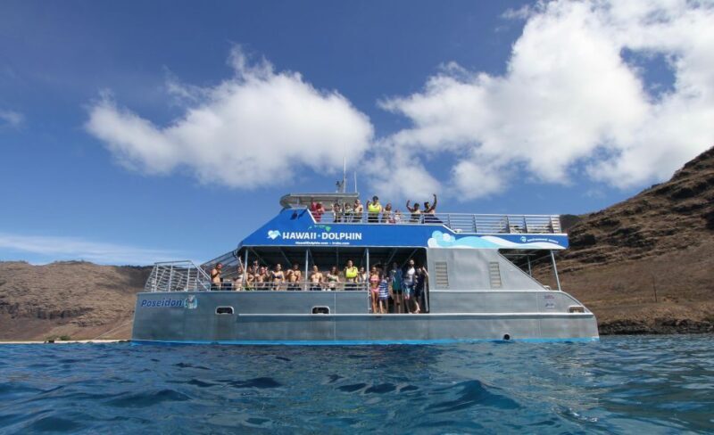 Oahu Dolphin Watch, Turtle Snorkel, Waterslide Activities - Who Is This Tour Best For?