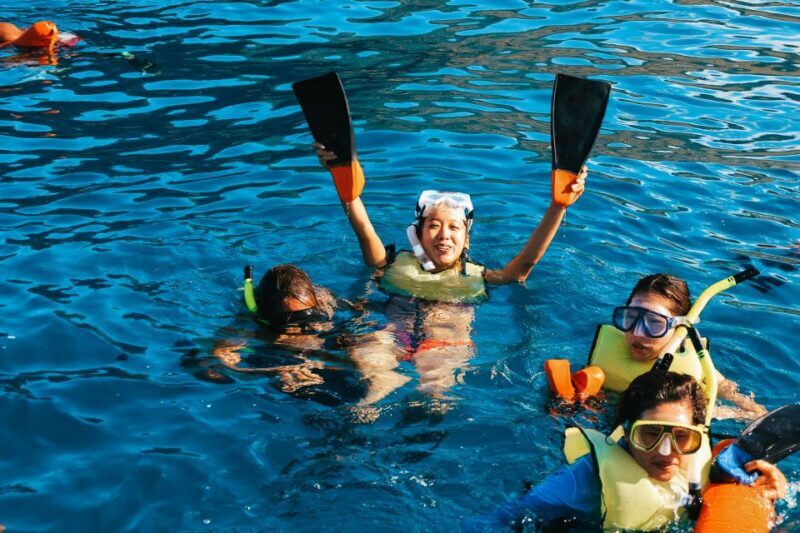 Oahu Dolphin Watch, Turtle Snorkel, Waterslide Activities - FAQ