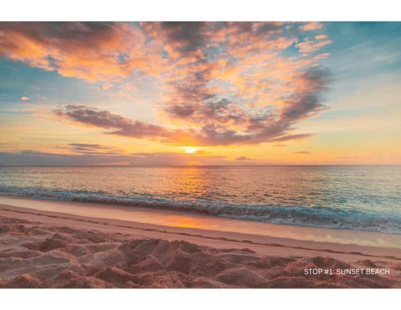 Oahu: Explore North Shore by E-Bike & Snorkel (Self-Guided) - A Closer Look at the Experience