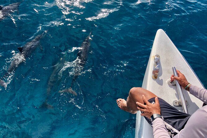 Oahu Explorer Pass: Save up to 50% - Includes Waikiki Cruise - The Sum Up