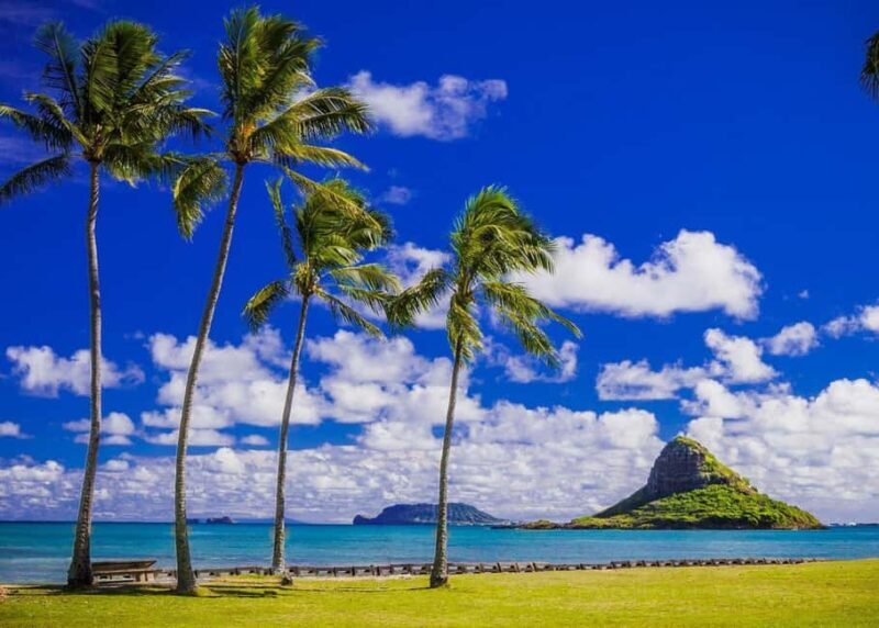 Oahu: Grand Circle Island Tour with Haleiwa - Key Points