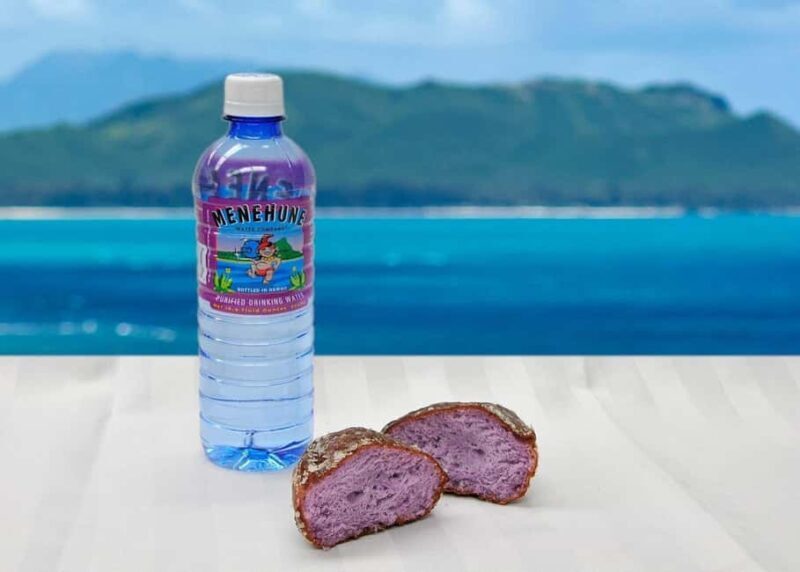 Oahu: Grand Circle Island Tour with Haleiwa - An In-Depth Look at the Tour Experience