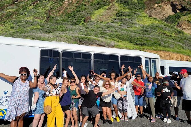 Oahu Guided Circle Island Tour, Swim w/ Turtles, Dole, Blowhole - The Experience: What We Think