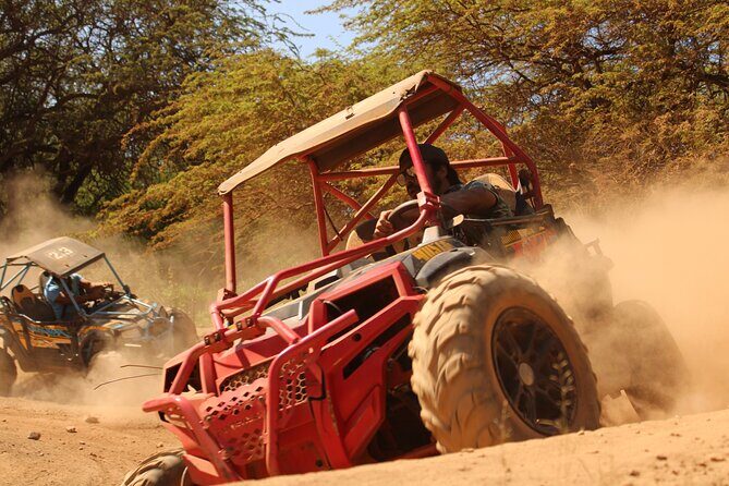 Oahu Guided Off-Road ATV Adventure from Waikiki -Round Trip Trans - The Guided Element and Skills Learning