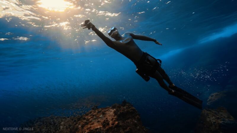 Oahu : Hanauma Bay Admission Ticket+Equipment Rental - The Realities of Visiting Hanauma Bay