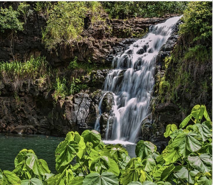 Oahu Hidden Gems & Waimea Botanical Garden/Waterfall tour - The Pros and Cons