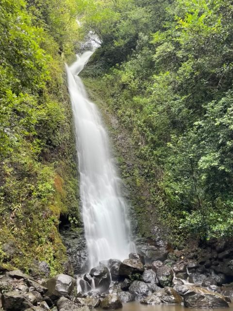 Oahu: Hidden Hawaii Waterfall Hike and Beach Tour - Authentic Reviews and What Travelers Say
