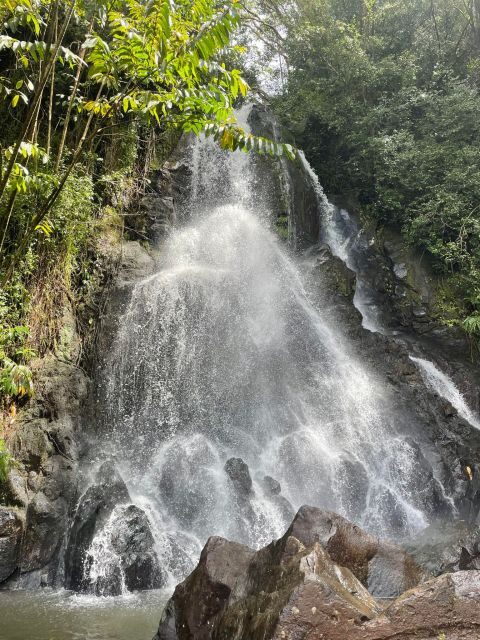 Oahu: Hidden Hawaii Waterfall Hike and Beach Tour - Who Will Love This Tour?