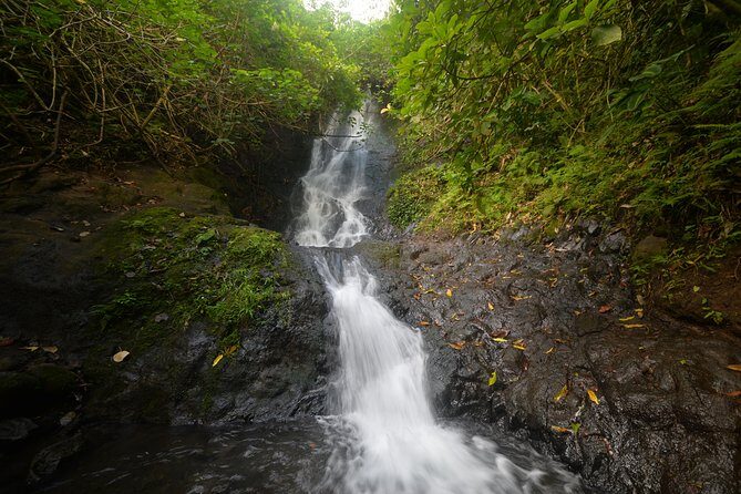 Oahu Hidden Waterfall Hike: A Tropical Paradise Adventure - Key Points