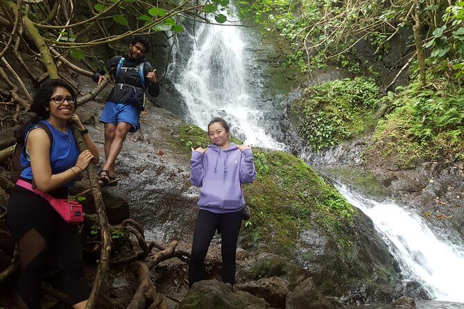Oahu Hidden Waterfall Hike: A Tropical Paradise Adventure - Why You’ll Love This Waterfall Hike