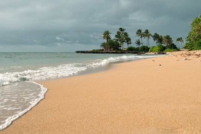 Oahu Highlights Private Guided Tour: Landmarks & Architecture - Final Thoughts