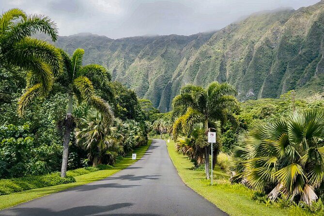 Oahu Highlights Private Tour: Nature, Views & Turtles in 6 Hours - Final Thoughts