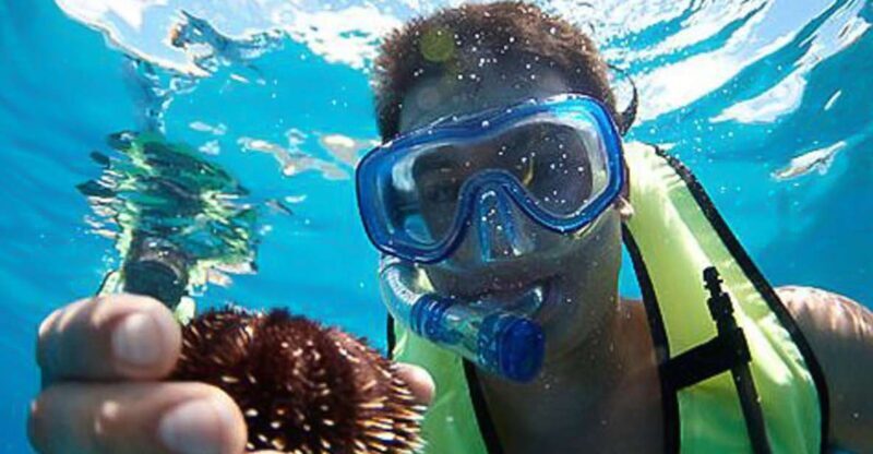 Oahu: Hilton Hawaiian Village Snorkel Tour - A Closer Look at the Snorkel Tour Experience