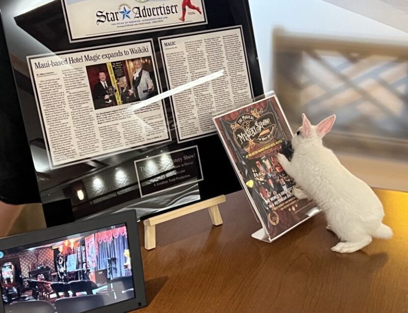 Oahu: Hilton Waikiki Beach Hotel Magical Mystery Show - Key Points