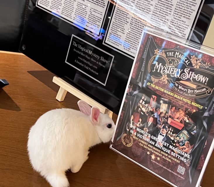 Oahu: Hilton Waikiki Beach Hotel Magical Mystery Show - The Sum Up