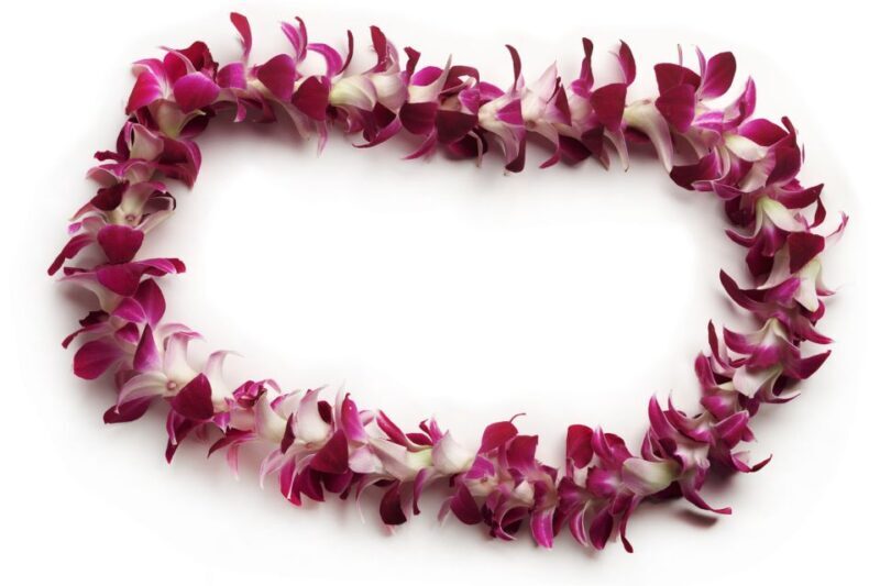 Oahu: Honolulu Airport (HNL) Traditional Lei Greeting - Authentic Experiences Backed by Positive Reviews