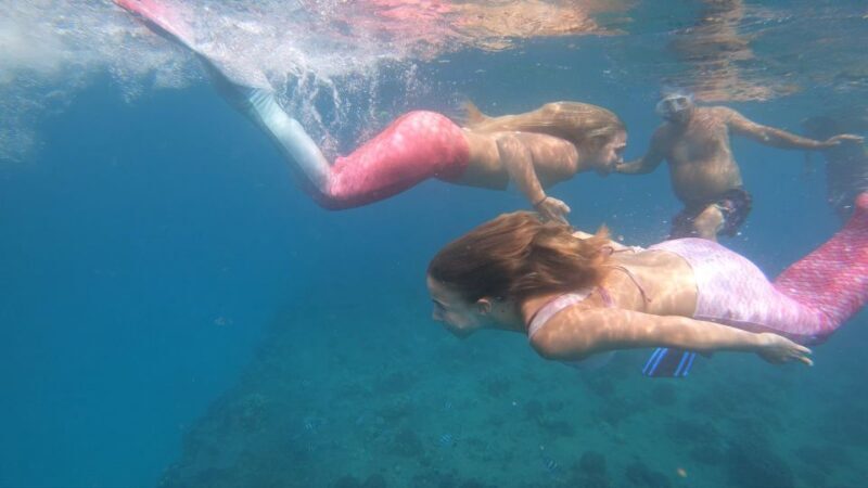 Oahu: Honolulu Mermaid Snorkel Adventure with Videos - Who Will Love This Tour?