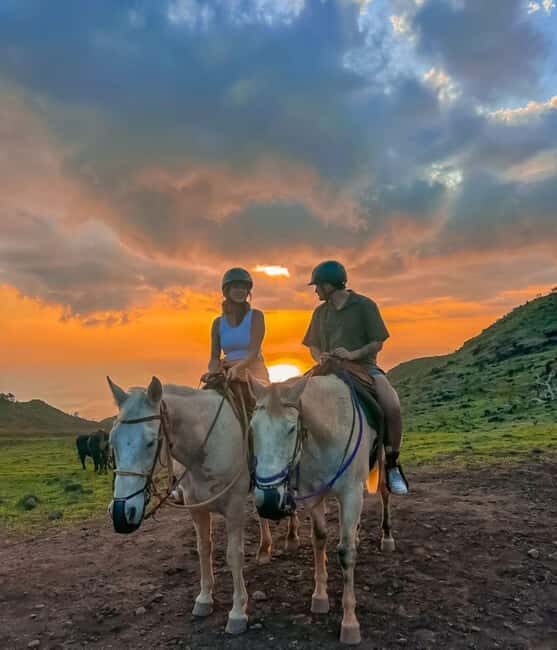 Oahu: Horseback Riding Sunshine or Sunset Tour - A Closer Look at the Oahu Horseback Riding Experience