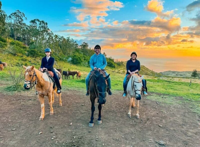 Oahu: Horseback Riding Sunshine or Sunset Tour - Extra Details and Considerations