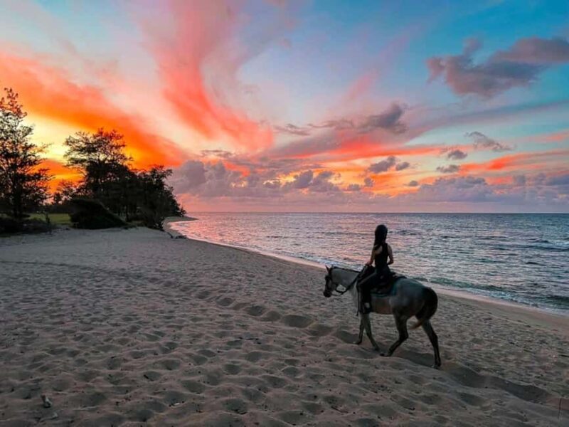 Oahu: Horseback Riding Tour on the North Shore - What to Expect from the Horseback Riding Tour