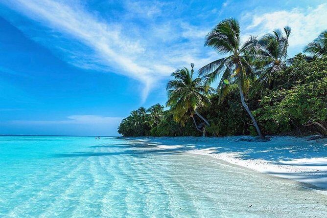 Oahu Island Highlights in Small Group | 30 Spots | ~10 Stops - What to Expect from the Tour: A Detailed Breakdown