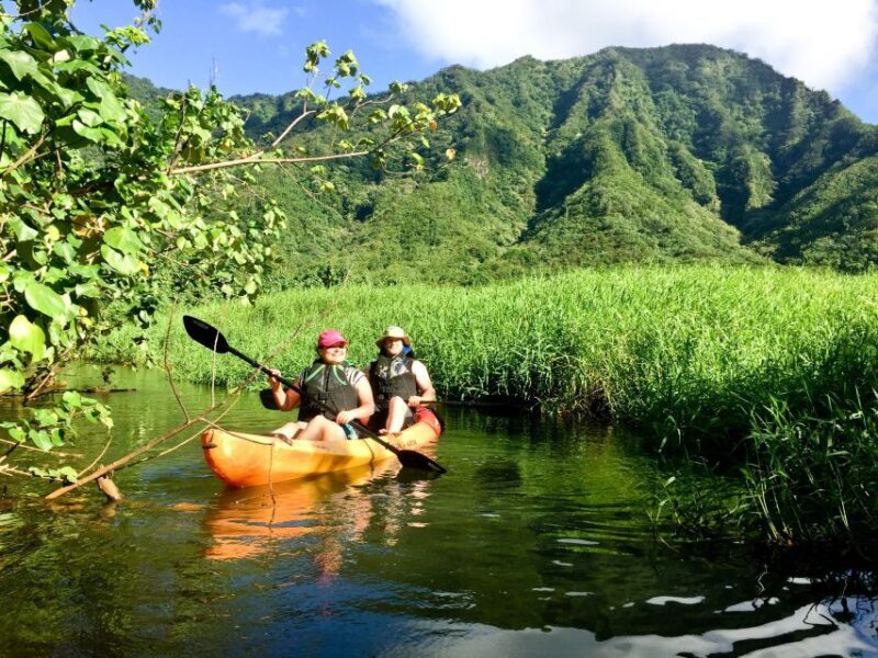 Oahu: Kahana Rainforest River 4-Hour Kayak Rental - Authentic Insights from Past Participants