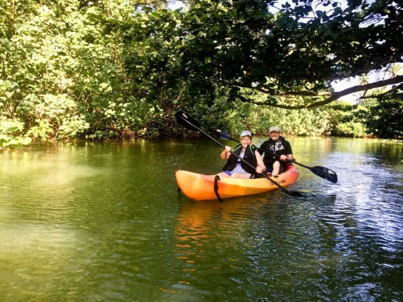 Oahu: Kahana Rainforest River 4-Hour Kayak Rental - Final Thoughts