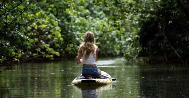 Oahu: Kahana River Stand-Up Paddleboard Rental - Key Points