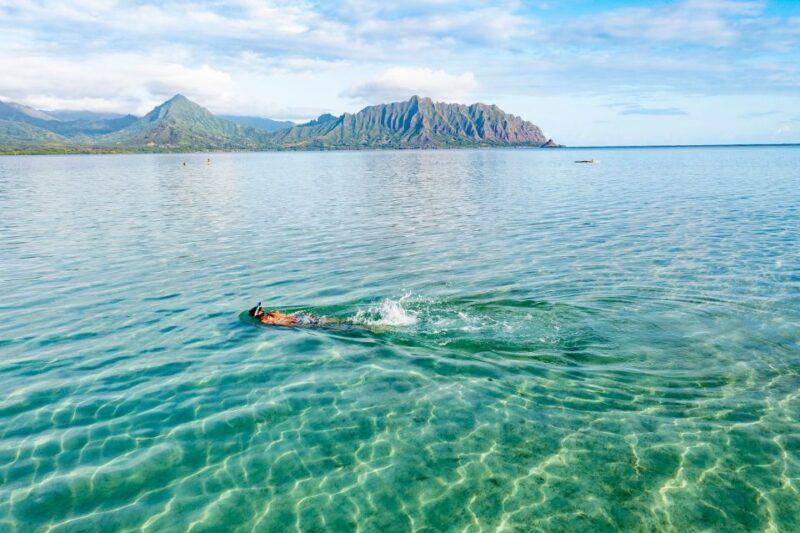 Oahu: Kaneohe Bay Coral Reef Kayaking Rental - Key Points