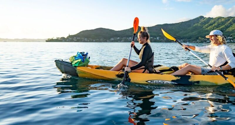 Oahu: Kaneohe Bay Coral Reef Kayaking Rental - What This Kayaking Experience Offers