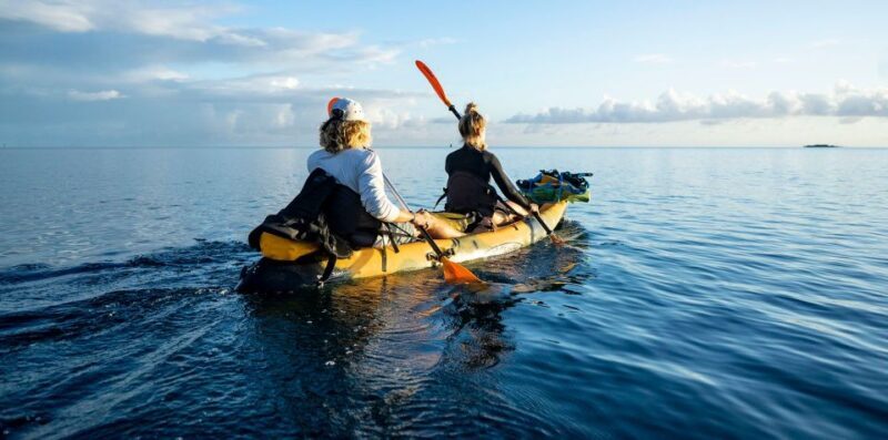 Oahu: Kaneohe Bay Coral Reef Kayaking Rental - What About the Cost? Is It Worth It?