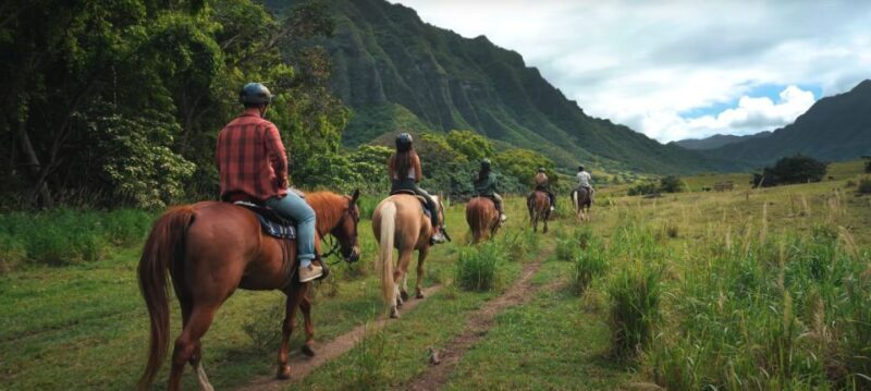 Oahu: Kualoa Hills and Valleys Horseback Riding Tour - What to Expect from the Horseback Riding Tour