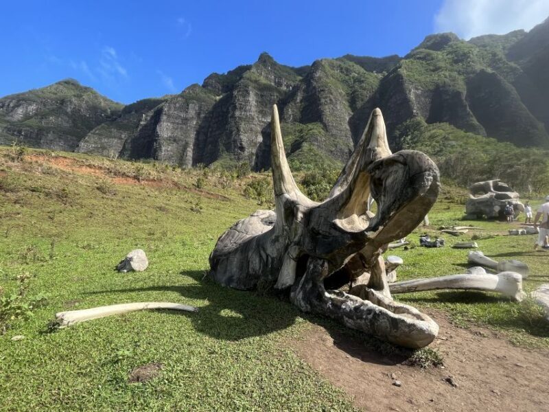 Oahu: Kualoa Movie Sites, Jungle, and Buffet Tour Package - Practical Considerations