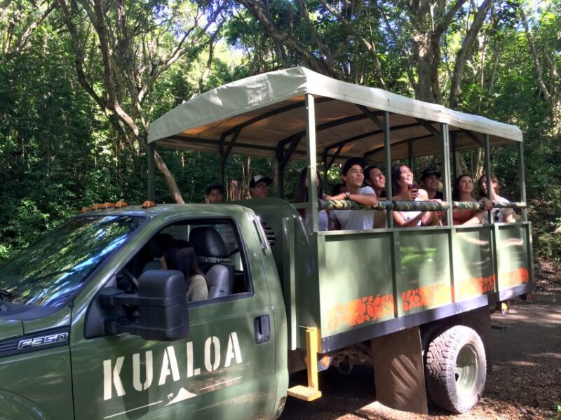 Oahu: Kualoa Movie Sites, Jungle, and Buffet Tour Package - Final Thoughts: Who Is This Tour Best For?