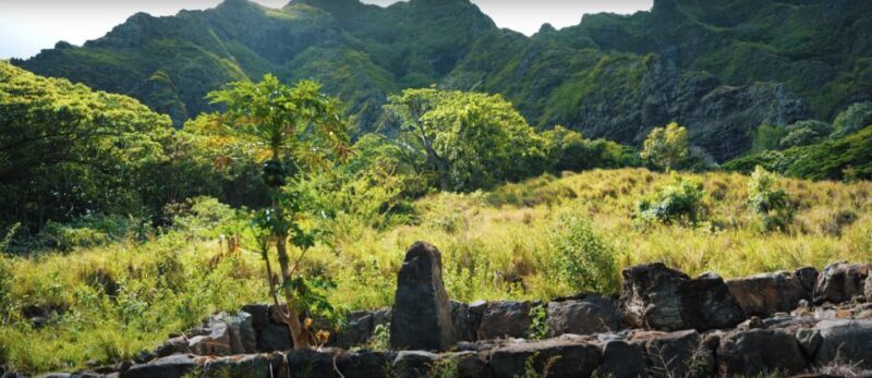Oahu: Kualoa Open Air Jungle Expedition Tour - FAQ