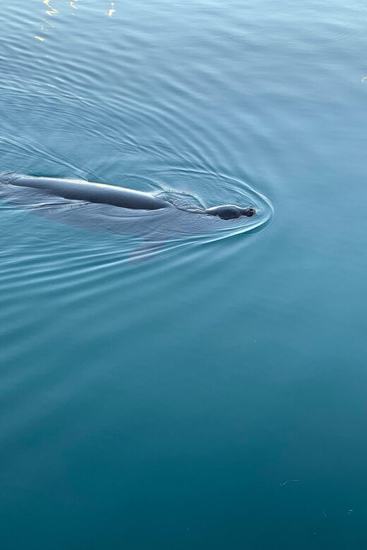 Oahu: Luxury Day Sailboat Charter - Considering the Cost and Value