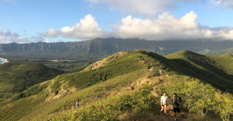 Oahu: Manoa Falls Hike and east side beach day - An In-Depth Look at the Tour