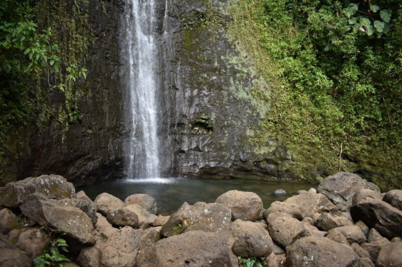 Oahu: Manoa Falls Waterfall Hike with Lunch and Transfers - Final Thoughts: Is This Tour Right for You?