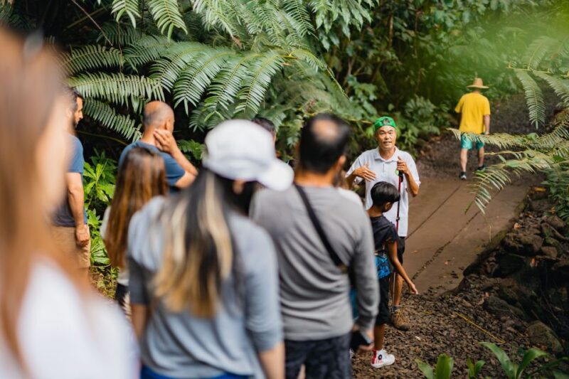 Oahu: Manoa Falls Waterfall Hike with Lunch and Transfers - Final Word
