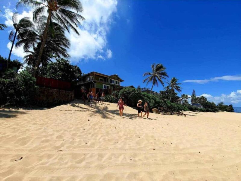 Oahu: North Shore Beaches, Turtles, and Dole Plantation Tour - FAQ