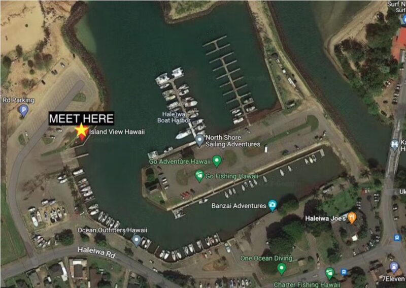 Oahu: North Shore Cageless Shark Snorkeling Tour - FAQs