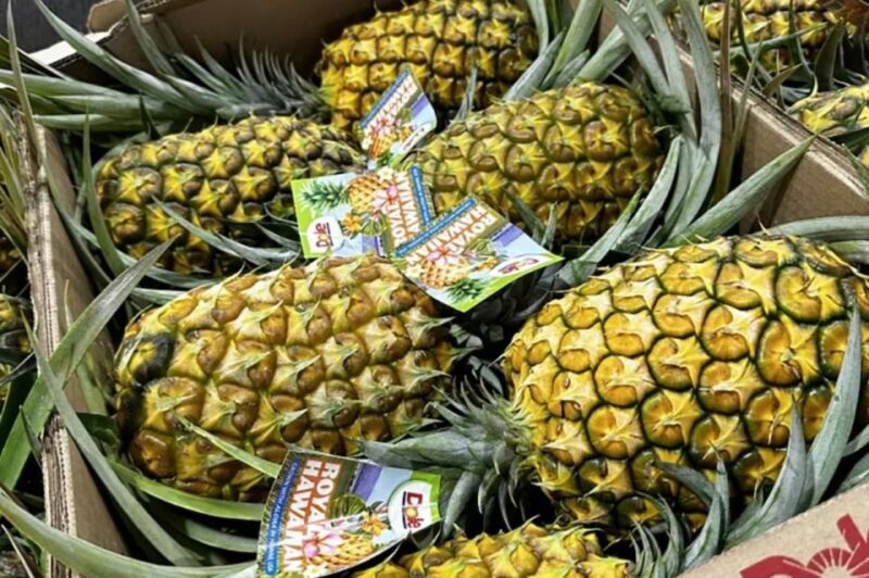 Oahu: North Shore Dole Pineapple Farm Tour - The Whole Picture