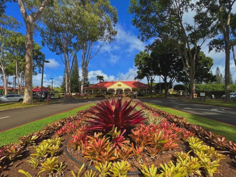 Oahu: North Shore Experience and Dole Plantation - In-Depth Look at the Tour Experience