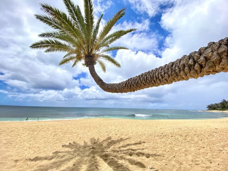 Oahu: North Shore Experience and Dole Plantation - Practical Details & Tips