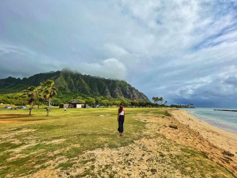 Oahu: North Shore Experience and Dole Plantation - The Sum Up