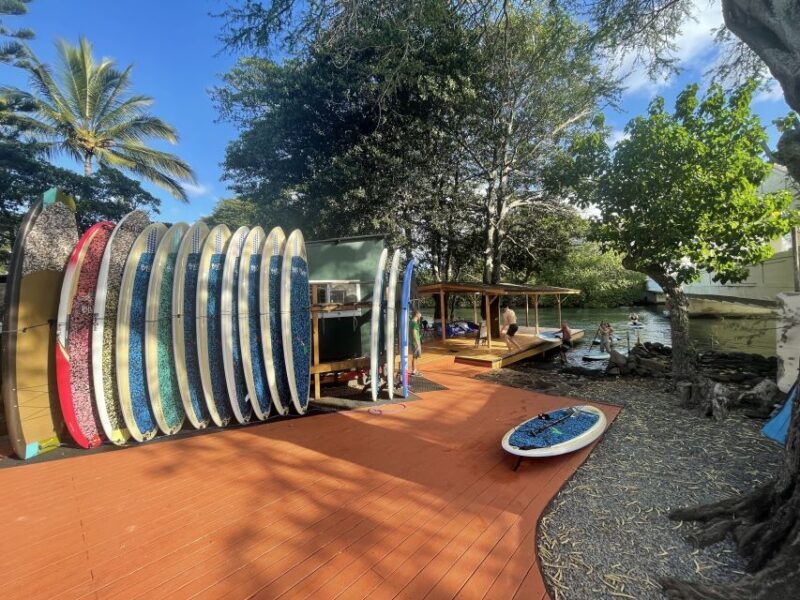 Oahu: North Shore Haleiwa Paddleboard River Adventure - Key Points